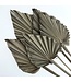 Grijze gedroogde Palm Speer |  | Lengte ± 50 centimeter | Per 5 takken te bestellen