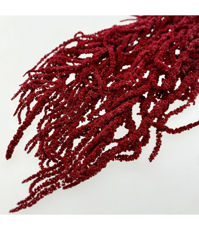 Red Amaranthus Caudatus dried flowers | Length ± 65 centimetres | ± 100 grams | Available per bunch