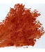 Orange Broom Bloom dried flowers | Length ± 50 centimetres | 7 - 9 stems per bunch | Available to order per bunch
