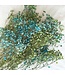 Gypsophila Mix droogbloemen | Aqua blauwe en groen | Lengte ± 65 centimeter | Per 5 takken te bestellen