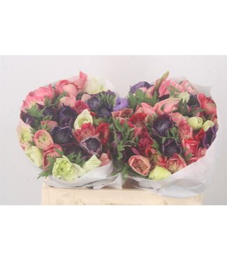 SLF Anemone Levante Mixed In Bunch ( x 50 )