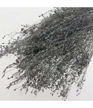 LDD Grey Misty Broom Bloom dried flowers | Weight ± 100 grams | Length ± 50 centimetres | Per bunch