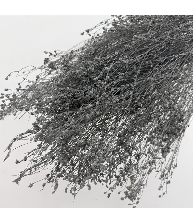 Grey Misty Broom Bloom dried flowers | Weight ± 100 grams | Length ± 50 centimetres | Available per bunch