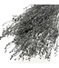 Grey Misty Broom Bloom dried flowers | Weight ± 100 grams | Length ± 50 centimetres | Available per bunch