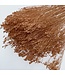 Salmon-coloured Broom Bloom dried flowers | Weight ± 100 grams | Length ± 50 centimetres | Available per bunch