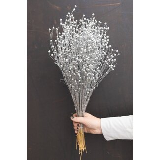 Dutch Dried Silver-Coloured Linum - Flax Dried Flowers | Length ± 55 centimetres | Weight ± 150 grams