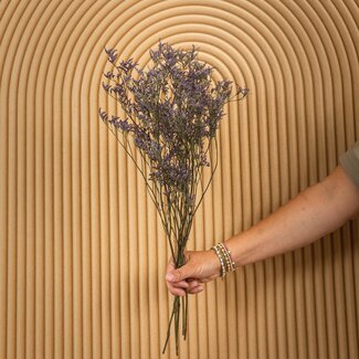 Dutch Dried Blue Limonium Diamond dried flowers | Length ± 70 centimetres | Weight ± 100 grams