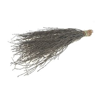 Dutch Dried Black Birch Branches | Length ± 60 centimetres | Per 10 branches