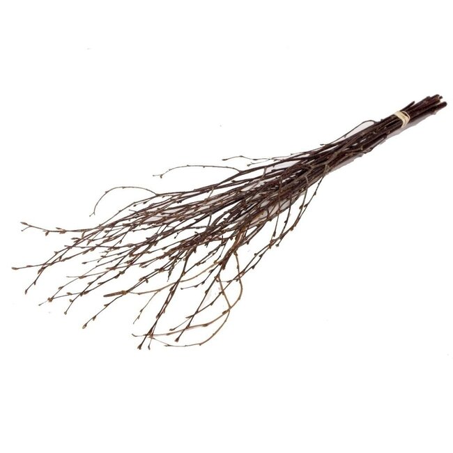 Natural Brown Birch Branches | Length ± 60 centimetres | Per 20 branches