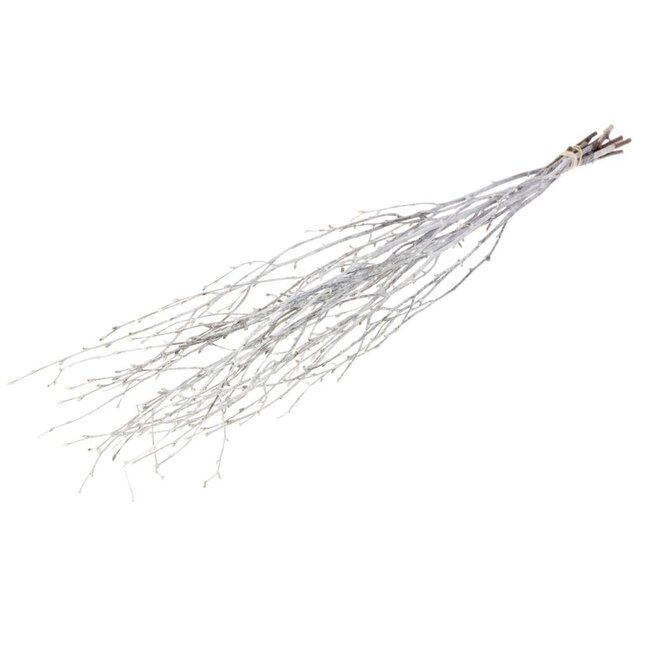 White Misty Birch Branches | Length ± 60 centimetres | Per 10 branches