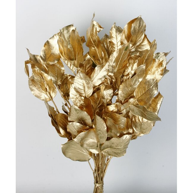 Gold-coloured Salal leaf dried flowers | Length ± 50 centimetres | Weight ± 100 grams