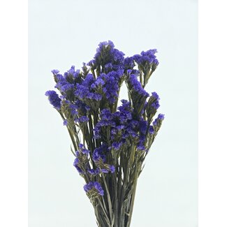 Casa Alegria Purple Statice Sinuata preserved flowers | Length ± 65 centimetres | Weight ± 75 grams