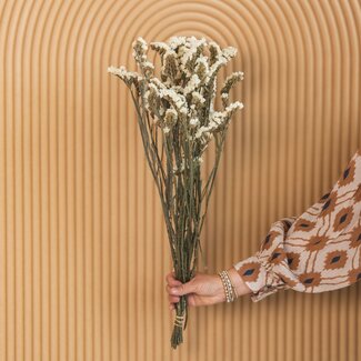 Dutch Dried White Statice Sinuata dried flowers | Length ± 70 centimetres | Weight ± 75 grams