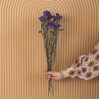 Dutch Dried Purple Statice Sinuata dried flowers | Length ± 70 centimetres | Weight ± 75 grams