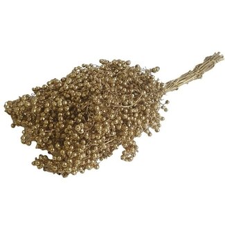 Dutch Dried Golden Schinus - Pepperberry dry decoration | Length ± 35 centimetres | Weight ± 150 grams