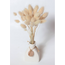 Naturelle baby Lagurus Ovatus droogbloemen | Lengte ± 30 centimeter | Gewicht ± 55 gram