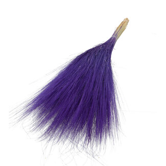 Dutch Dried Paarse Barba de Bode droogbloemen | Lengte ± 55 centimeter | Gewicht ± 50 gram