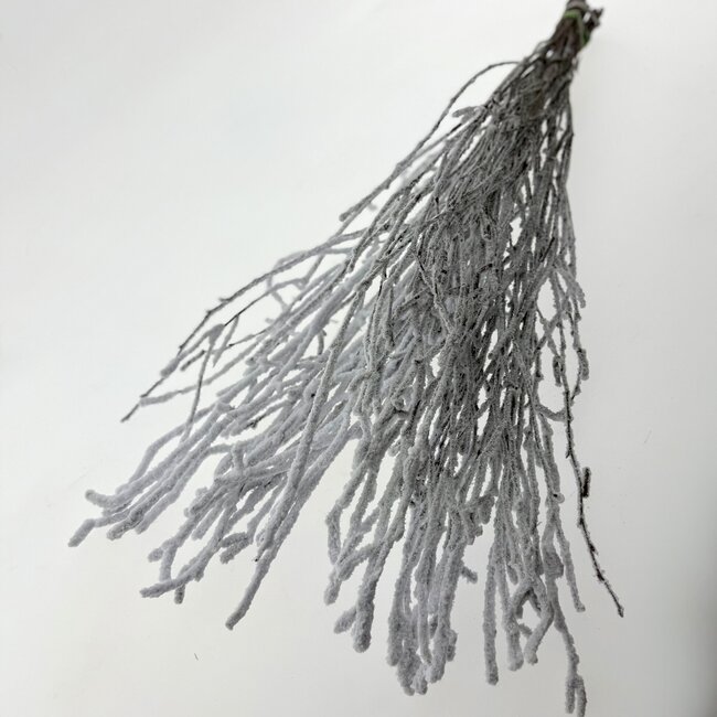 White snow-covered birch branches | Length ± 60 centimetres | Per 10 branches