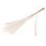 White Bleached Reed Grass Dried Flowers | Length ± 70 centimetres | Per 20 plumes
