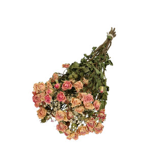 MyFlowers Sträußchen mit 8 rosa Sprayrosen und 2 Zweigen weißem natürlichem Schleierkraut | Länge ± 50 Zentimeter