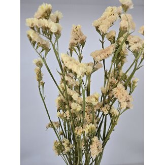 Dutch Dried Botergeel Statice Sinuata droogbloemen | Lengte ± 70 centimeter | Gewicht ± 75 gram