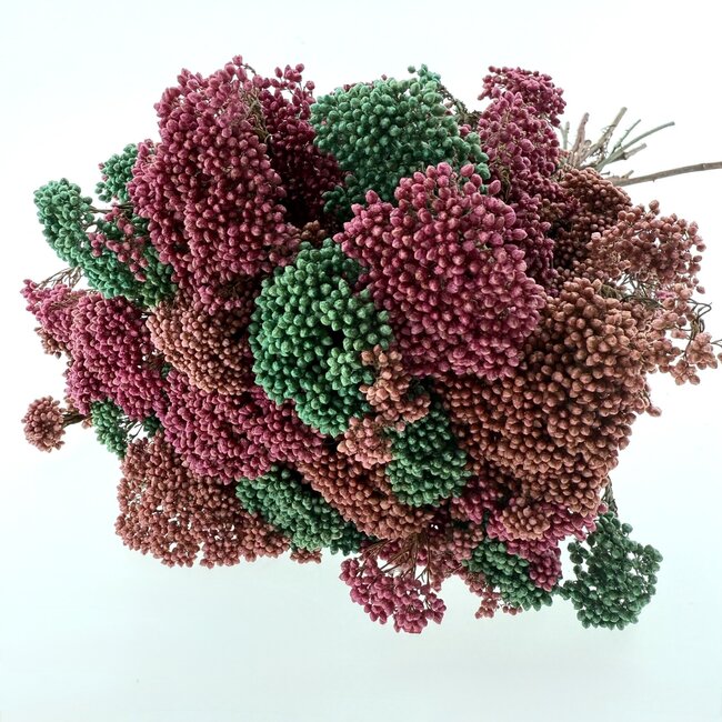 Trockenblumenstrauß Rice Flowers | Länge ± 70 Zentimeter | Mit mintgrünen, rosa und lachsfarbenen Blumen