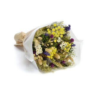 MyFlowers Bouquet of dried flowers Fantasy Naturale | Length ± 35 centimetres | With mixed colour dried flowers
