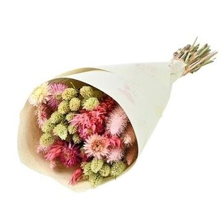 MyFlowers Trockenblumenstrauß "Coco Loco" | Länge ± 50 Zentimeter | Mit hellrosa und natürlichen Trockenblumen