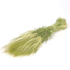 Natural green Hordeum dried flowers | Length ± 70 centimetres | Weight ± 175 grams