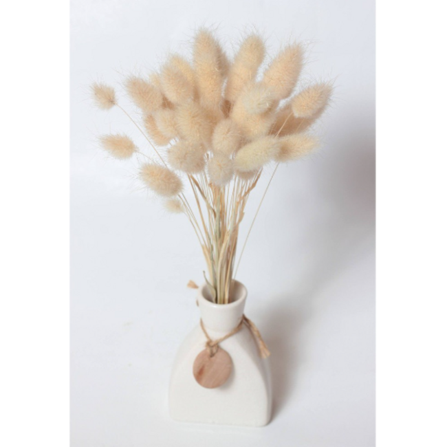 Natural baby Lagurus Ovatus dried flowers | Length ± 30 centimetres | Weight ± 55 grams