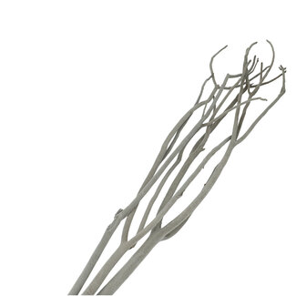 4A Gedroogde Mitsumata vlok Takken | Kleur: Grijs | Droogdecoratie | Lengte ± 115 centimeter | 3 takken per bos | Per bos