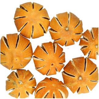 4A Droogvrucht Sinaasappelschijfjes | Kleur: Oranje | Diameter 4 centimeter | Gewicht 250 gram per zak | Per 5 zakken