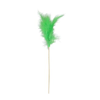 4A Feather Picks | Colour: Apple Green | Length ± 50 centimetres | Per 25 picks