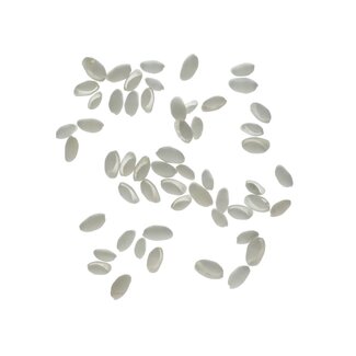 4A Bubble Shell Schelpen | Kleur: Naturelle Wit | Per 250 gram schelpen