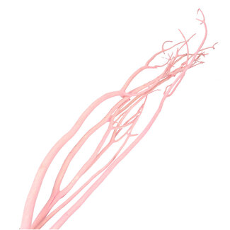 4A Gedroogde Mitsumata vlok Takken | Kleur: Lichtroze | Droogdecoratie | Lengte ± 115 centimeter | 3 takken per bos | Per bos