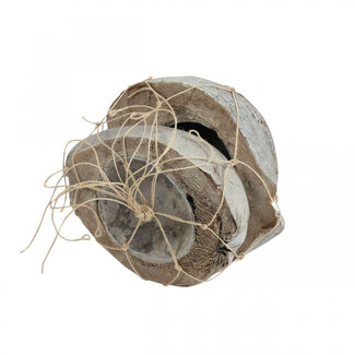 4A Gedroogde Kokosnoot Helften | Kleur: Bruin | Droogdecoratie | Diameter 20 centimeter | Per 2 stuks