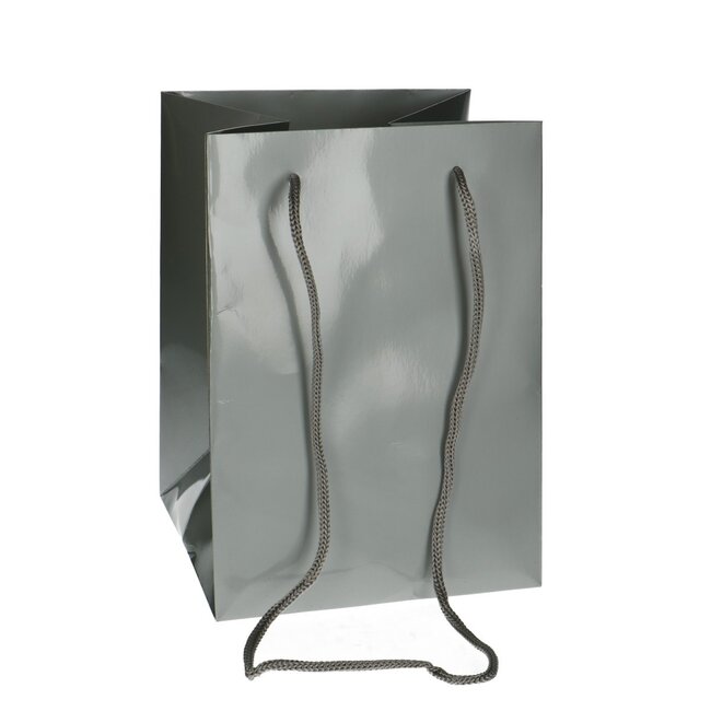 Bags “Olympic” | Colour: Silver-coloured | Length 25 centimetres | Width 18 centimetres | Height 18 centimetres | Per 10 bags