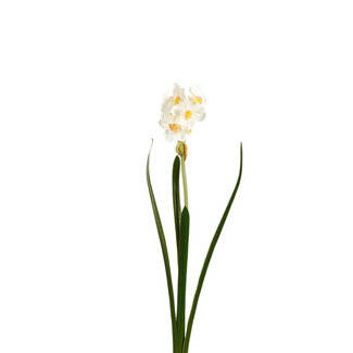4A Narcissus Artificial Flower | Colour: Natural White | Length ± 41 centimetres | Per 6 artificial flowers