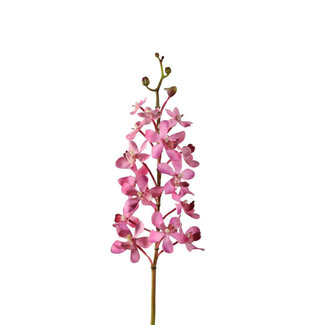 4A Vanda Orchid Artificial Flower | Colour: Light Pink | Length ± 70 centimetres | Per 4 artificial flowers