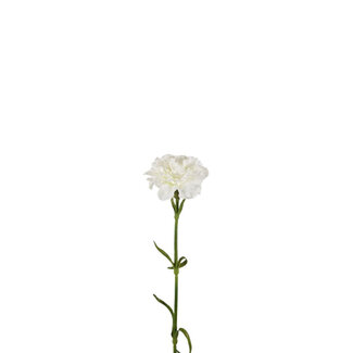 4A Nelken Kunstblume | Farbe: Naturweiß | Dianthus Kunstblumen | Länge ± 53 Zentimeter | Pro 6 Kunstblumen