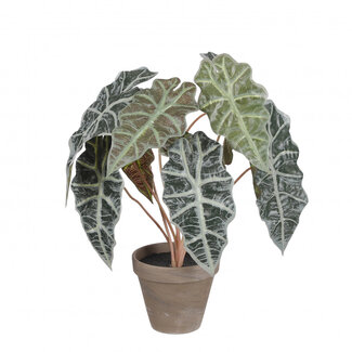 4A Reuzentaro Kunstplant met pot | Kleur: Groen | Alocasia kunstplant | Diameter ± 13 - 36 centimeter | Hoogte ± 44 centimeter | Per 6 kunstplanten