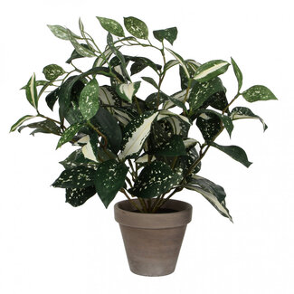 4A Cod Tail Artificial Plant with Pot | Colour: Green | Cordyline Artificial Plant | Diameter ± 11 - 25 centimetres | Height ± 35 centimetres | Per 6 artificial plants