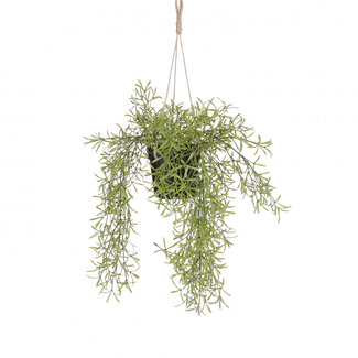 4A Rhipsalis Hanging Artificial Plant with Pot | Colour: Green | Diameter ± 20 centimetres | Length ± 40 centimetres | Per 6 artificial plants
