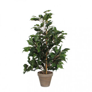 4A Fig Leaf Artificial Plant with Pot | Colour: Green | Ficus Exotica Artificial Plant | Diameter ± 13 - 40 centimetres | Height ± 65 centimetres | Per 6 artificial plants
