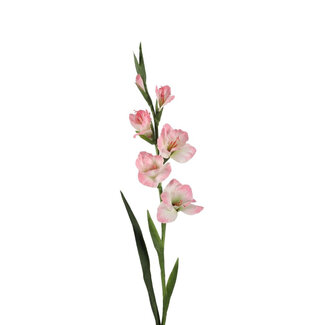 4A Gladiolus Artificial Flower | Colour: Light Pink | Length ± 97 centimetres | Per 4 artificial flowers