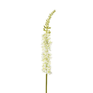 4A Eremurus Kunstblume | Farbe: Naturweiß | Fuchsschwanzlilie Kunstblumen | Länge ± 94 Zentimeter | Pro 2 Kunstblumen