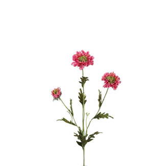 4A Scabiosa Artificial Flower | Colour: Pink | Pigeon Flower Artificial Flowers | Length ± 66 centimetres | Per 6 artificial flowers