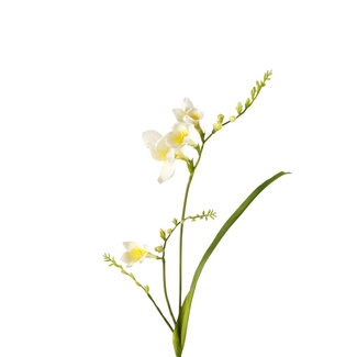 4A Freesia Kunstbloem | Kleur: Naturelle Wit | Lengte ± 81 centimeter | Per 6 kunstbloemen