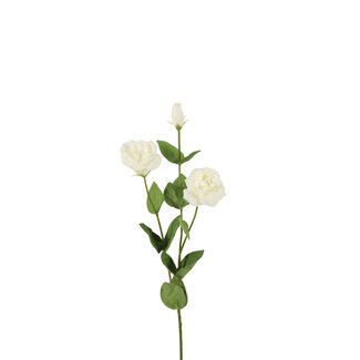 4A Lisianthus Kunstbloem Real Touch | Kleur: Naturelle Wit | Lengte ± 73 centimeter | Per 6 kunstbloemen
