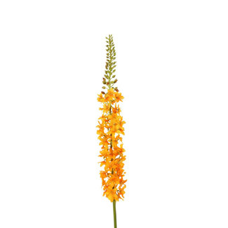 4A Eremurus Kunstbloem | Kleur: Oranje | Vossenstaartlelie kunstbloemen | Lengte ± 94 centimeter | Per 2 kunstbloemen